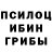 Галлюциногенные грибы GOLDEN TEACHER Haimbb Hfvb