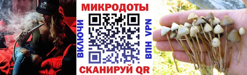 закладка  Трёхгорный  ссылка на мегу онион  Псилоцибиновые грибы прущие грибы 